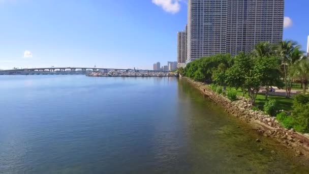 玛嘉烈步伐公园迈阿密 — 图库视频影像