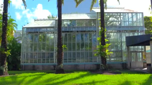 Botanische groen huis — Stockvideo