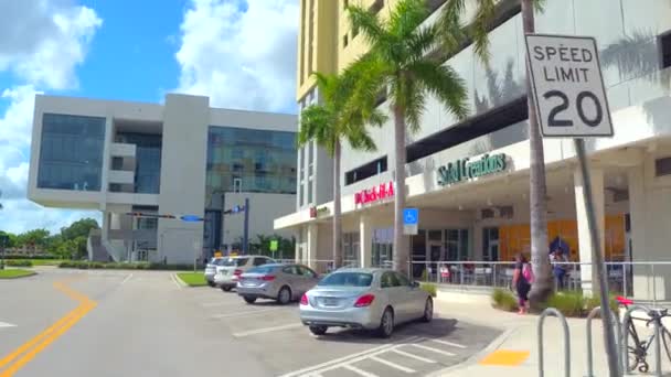 Campus Drive alla FIU — Video Stock