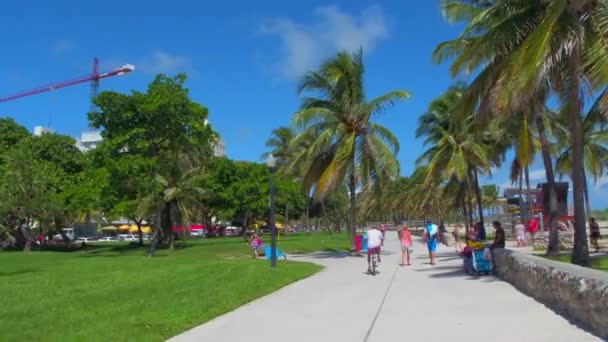 Μήκος σε πόδηα Miami Beach Ocean Drive μονοπάτι — Αρχείο Βίντεο