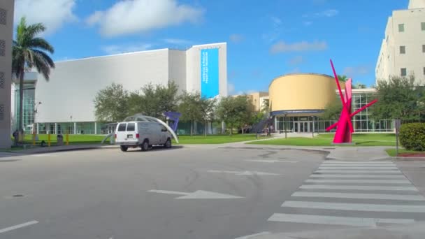 Museo d'arte del gelo FIU Miami — Video Stock