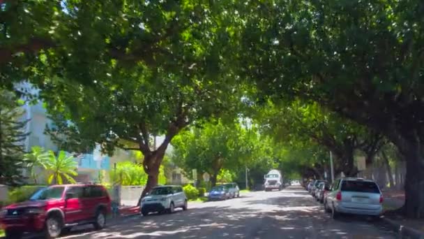 Meridian Avenue Miami Beach — Stock video