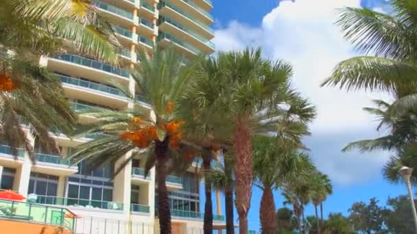 Condominiums ve palmiye ağaçları — Stok video