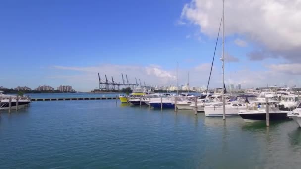 Hava video Miami Beach Marina — Stok video