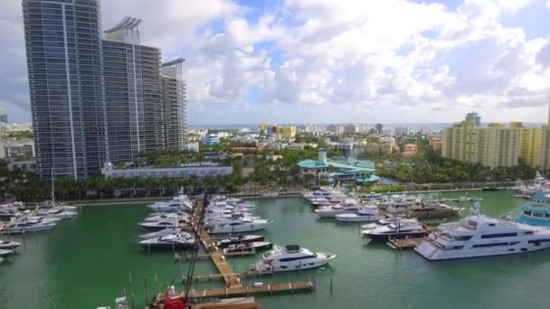 Csodálatos Miami Beach marina jelenet — Stock videók