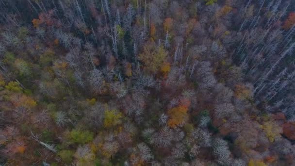 Aerial video Smokey Mountains 4k — Stock Video
