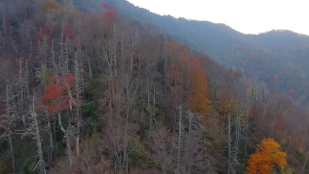 Letecké video American Smokey Mountains — Stock video