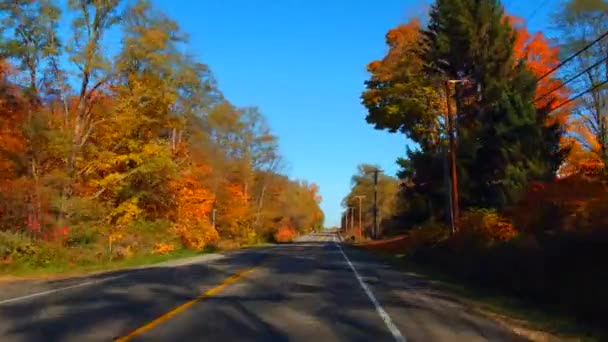 Bitki örtüsü ile bir ülke yolda sürüş — Stok video