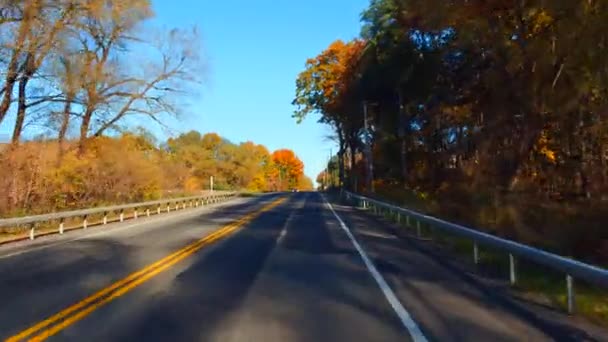 Mengemudi di jalan negara dengan dedaunan — Stok Video