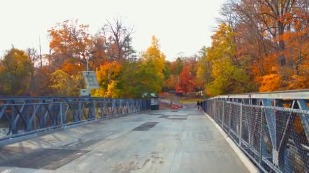 Skladem video Niagara Falls New York park — Stock video