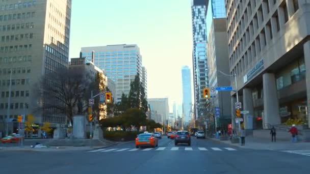 Dirigir na University Avenue Toronto — Vídeo de Stock