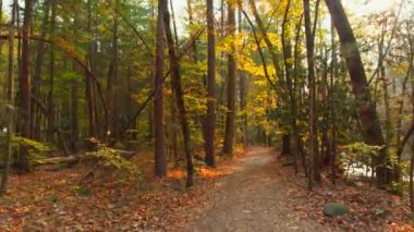 Doğa sahne Smokey Dağları