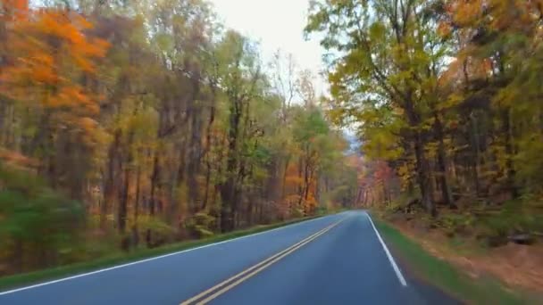 Guidare attraverso Gatlinburg e le montagne Smokey — Video Stock