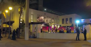 Art Basel Miami hareketli video