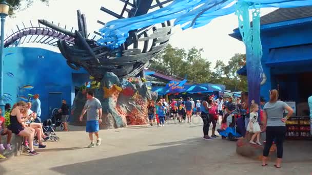 Turis Seaworld Orlando FL — Stok Video