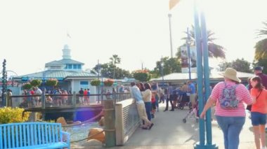 Fl Orlando SeaWorld turizm