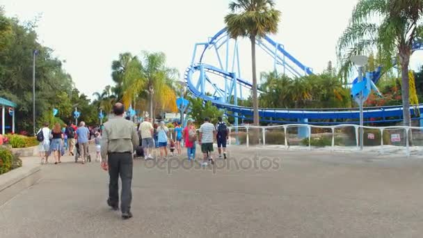 Seaworld Orlando FL tourism — Stock Video