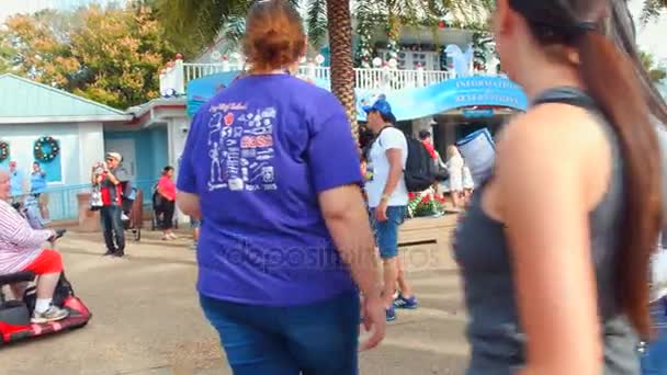 Fl Orlando SeaWorld turizm — Stok video