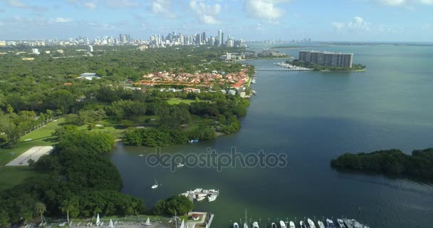 空中迈阿密椰树林 4 k — 图库视频影像