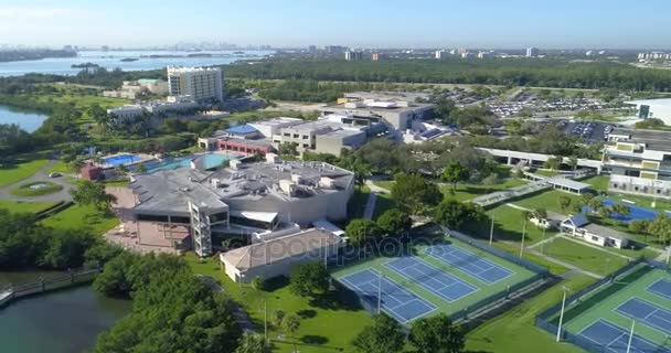 Florida International University — Stok video