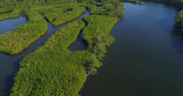 Aerial video Florida Mangroves — Stock Video