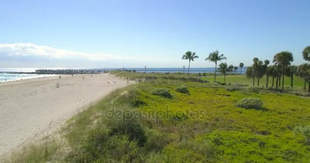 Légi drone videóinak South Beach nyári vakáció hely — Stock videók