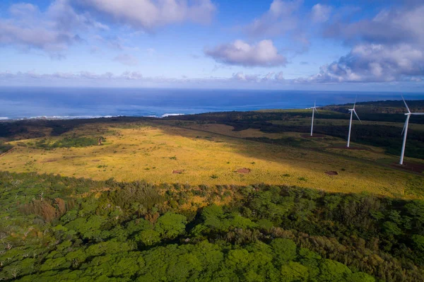 Imagem aérea parque eólico Havaí — Fotografia de Stock