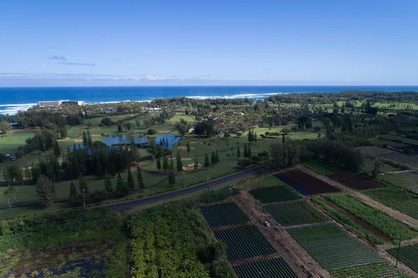 Aerial image Turtle Bay Resort Hawaii — Stock Photo, Image