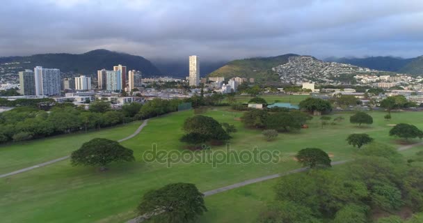 Honolulu Hawaii Ala Wai Gemeindepark — Stockvideo