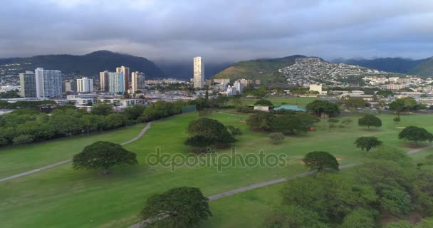 Honolulu Hawaii Ala Wai Comunità Parco — Video Stock