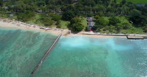 Aerial video of Kapiolani Regional Park — Stock Video