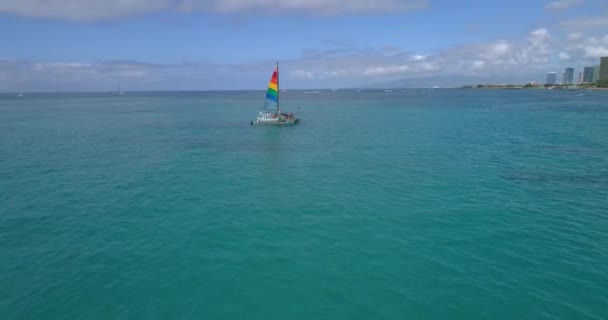 Aerial video av turister snorkling i Hawaii — Stockvideo