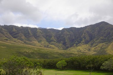 Volkanik manzara Oahu Hawaii