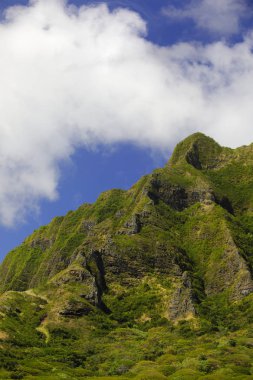 Volkanik dağ silsilesi Oahu Hawaii