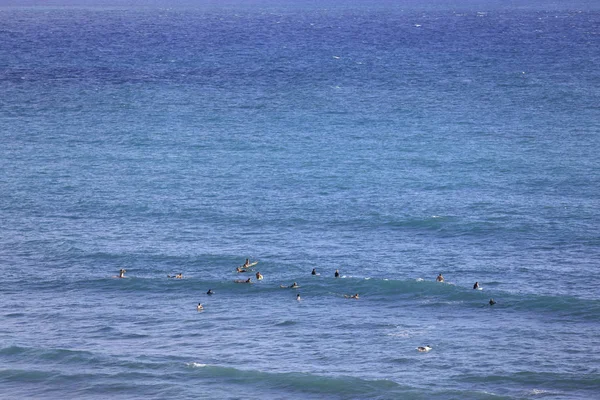 Letecký snímek surfařů v oceánu — Stock fotografie