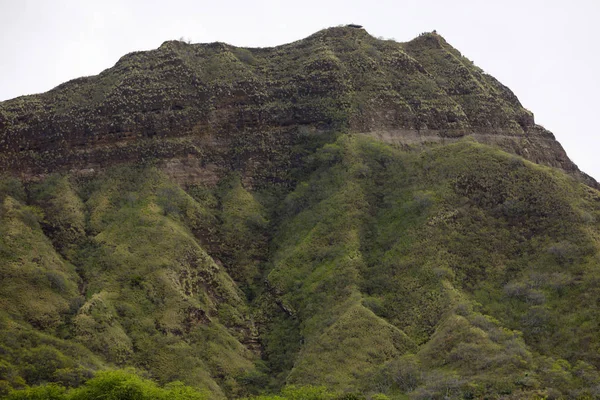 Cabeça de diamante hawaii — Fotografia de Stock