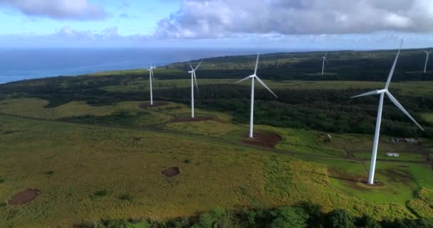 Parque eólico Havaí — Vídeo de Stock