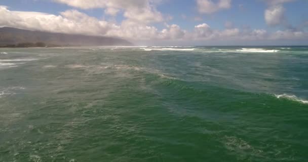 Bølger i Kaiaka Bay – stockvideo