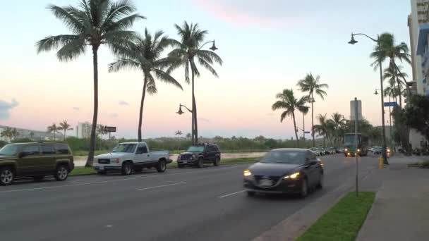Dagelijks leven op de straten van Waikiki — Stockvideo