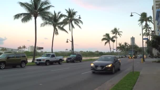 Vida de día en las calles de Waikiki — Vídeo de stock