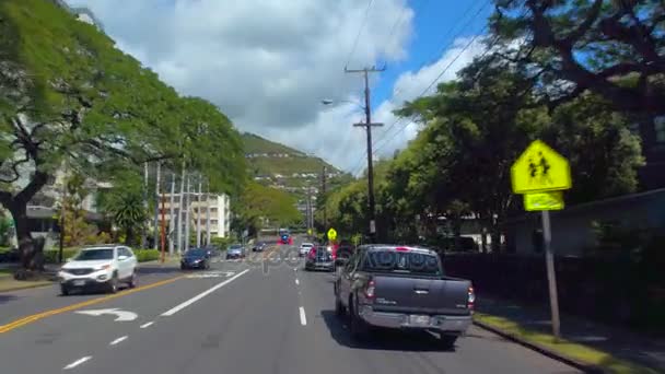 Οδήγησης περιοδεία της Χαβάης νησί Oahu — Αρχείο Βίντεο