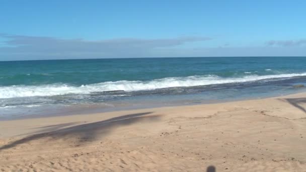 Maili Beach Park Waianae Hawaii — Videoclip de stoc