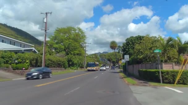 驾驶瓦胡岛夏威夷之的旅 — 图库视频影像