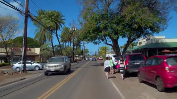 Condução na estrada Kamehameha — Vídeo de Stock