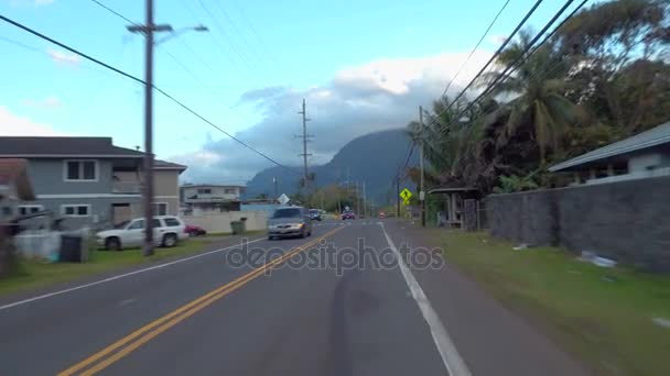Drijvende tour van Oahu-Hawaï — Stockvideo