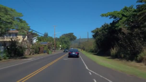 오아후 섬 하와이의 운전 투어 — 비디오