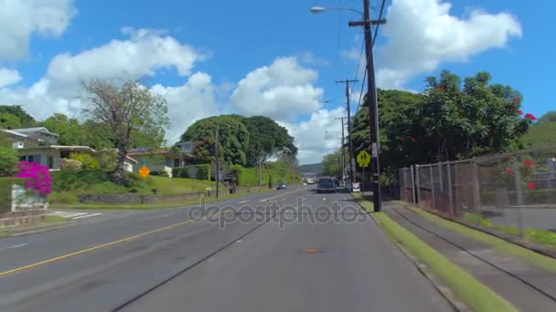 Vidéo en stock de Manoa Road Honolulu Hawaii — Video