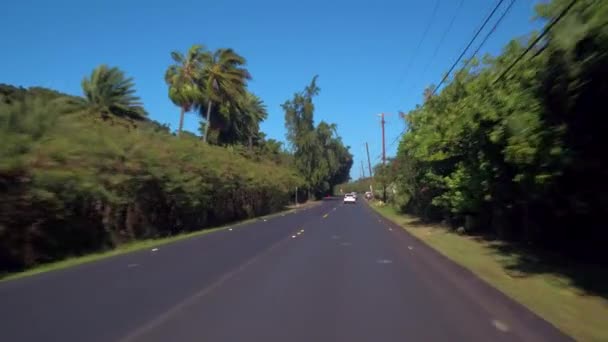 Beståndet video av landsbygdens Oahu Hawaii — Stockvideo