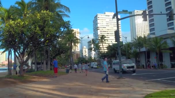 Vita di giorno su strade di Waikiki — Video Stock