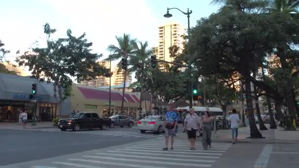 Day life on streets of Waikiki — Stock Video